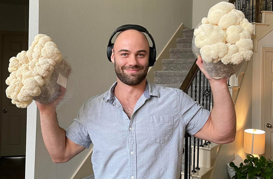If you've tried lion's mane and it didn't work for you. You're not alone. Find out why...