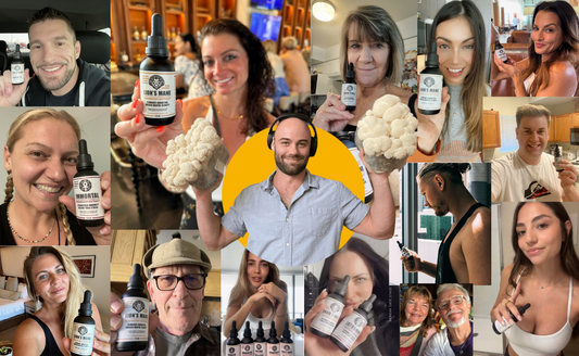 3 Reasons Why Lion's Mane Lovers Are Switching to Premium Liquid Extracts