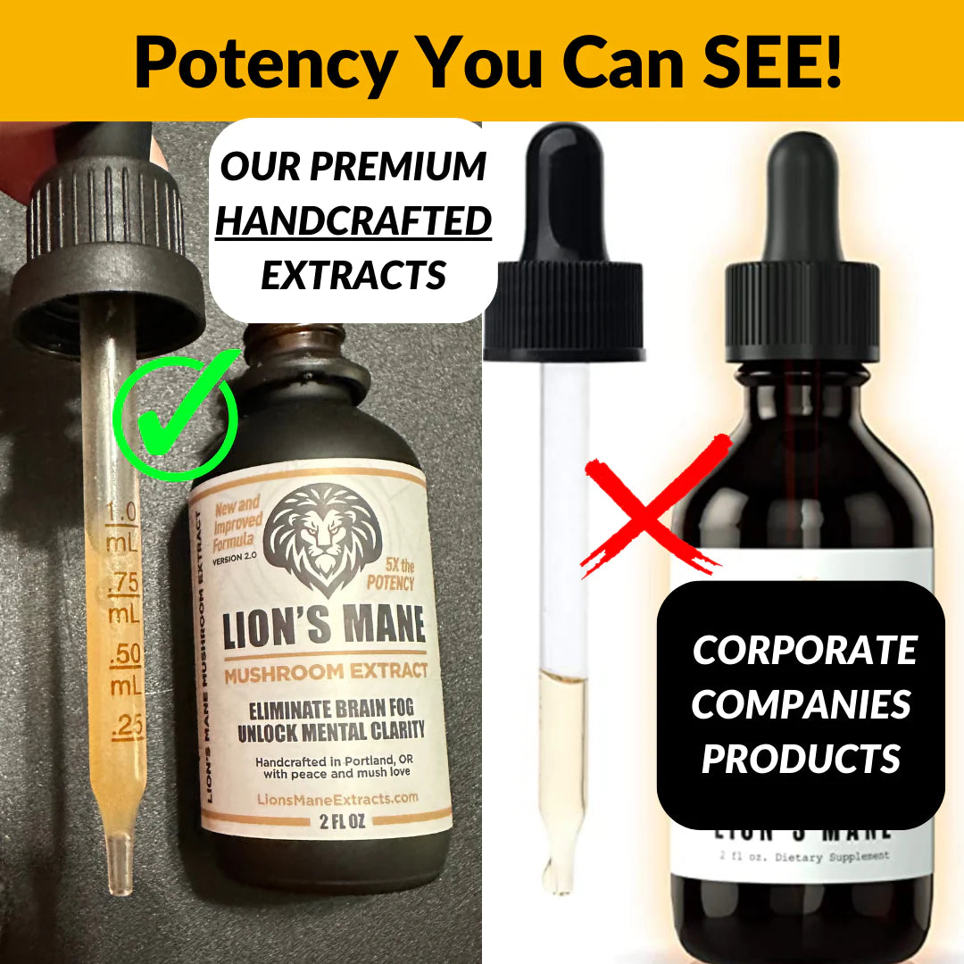 50% Off The Most Potent Lion’s Mane Extracts on the Market