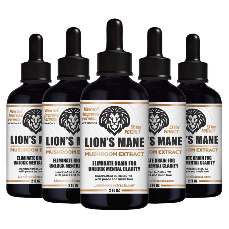 Lion's Mane Extracts (6 pack)