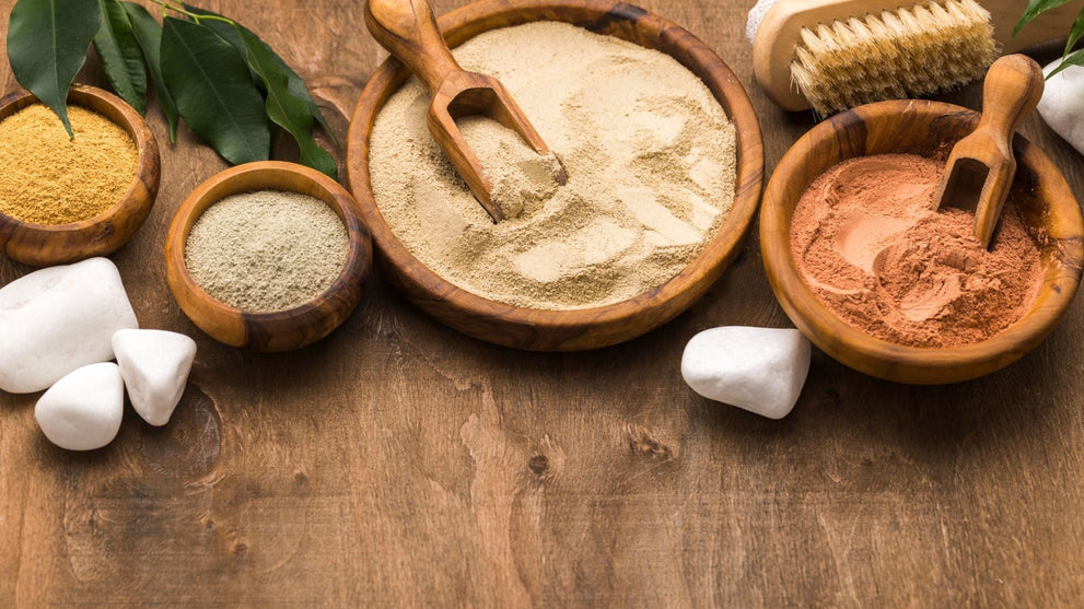 Lion's Mane Extract vs Powder: What's The Difference?