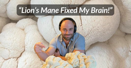 How I Finally Fixed My Brain Fog and Reclaimed Memory Recall Using Lion's Mane Mushrooms