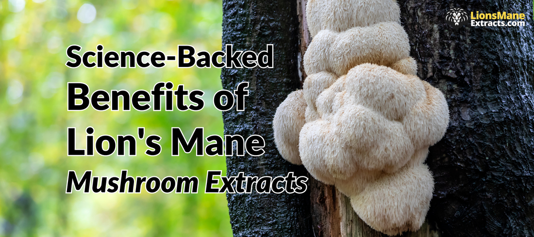 Unpacking the Science-Backed Health Benefits of Lion's Mane Mushroom Extracts: What We Know So Far…
