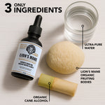 Lion's Mane Mushroom Extract