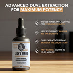 Lion's Mane Mushroom Extract