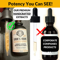 50% Off The Most Potent Lion’s Mane Extracts on the Market