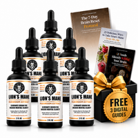 Lion's Mane Extract - 6 Pack