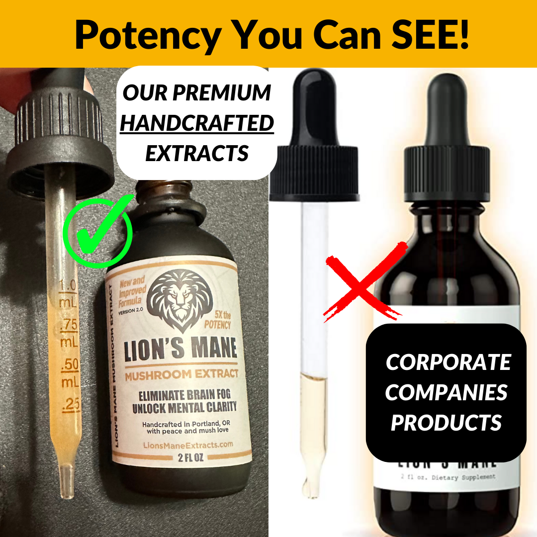 Lion's Mane Liquid Extract: Natural Support for Focus, Memory, & Clear Thinking