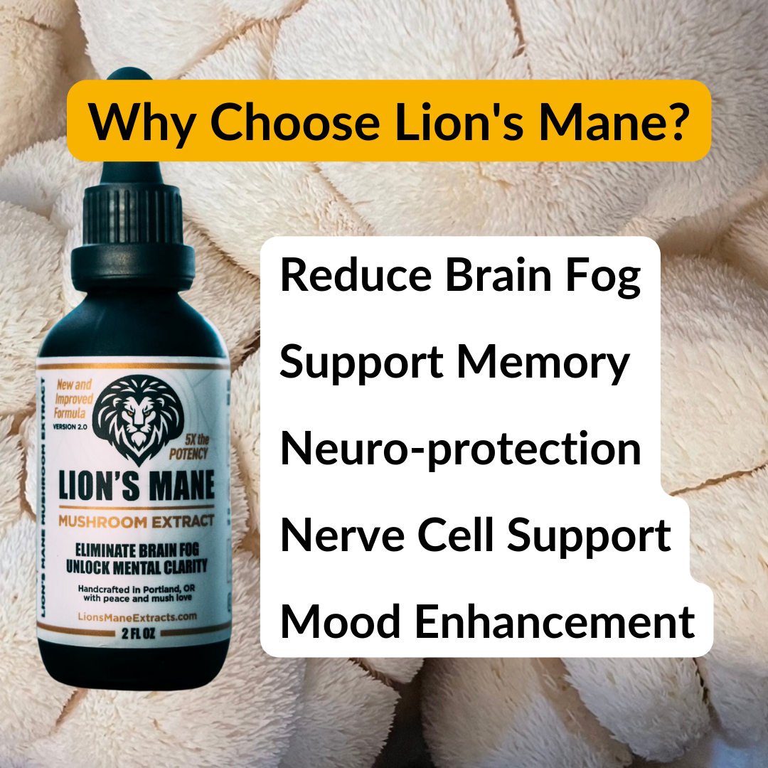 Lion's Mane Liquid Extract: Natural Support for Focus, Memory, & Clear Thinking