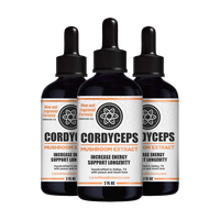 Premium Cordyceps Mushroom Extract