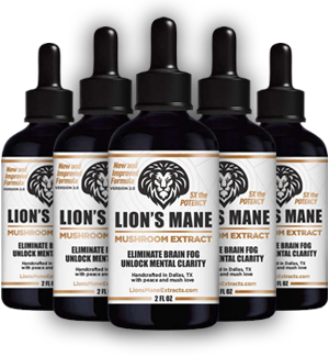 +6 Lion's Mane Extracts (Flash Sale 60% Off)